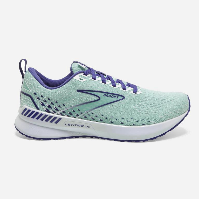 Brooks Women's Levitate Gts 5 Springy Road Running Shoes Singapore - PaleTurquoise/Yucca/Navy Blue/W